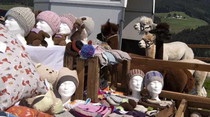 Viel Spaß, Information rund um die Rinderwirtschaft und kulinarische Schmankerln bekamen die vielen Gäste beim zehnten Rindfleischfest in Fischbach.