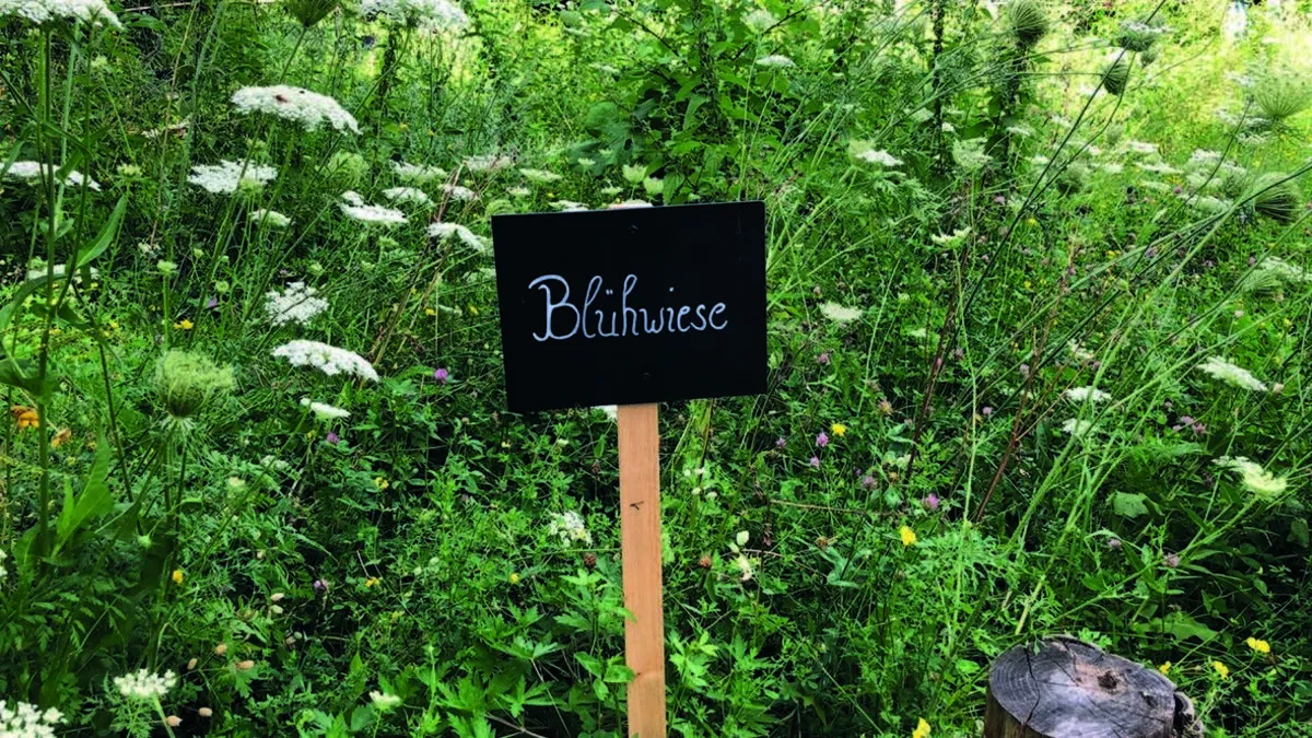 Blühwiesen blühen - aber nur zwei Mal im Jahr. Manche sehen darin oft unansehnliche "Gstättn"