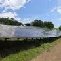 Die errichtete Photovoltaikanlage (300 kWp) am Kleeberg liefert nicht nur Energie, sondern dient auch Schafen als Weide