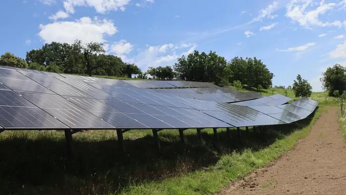 Die errichtete Photovoltaikanlage (300 kWp) am Kleeberg liefert nicht nur Energie, sondern dient auch Schafen als Weide