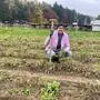 Christoph Zirngast während der Ernte der Erdnüsse auf seinem Feld in Großklein