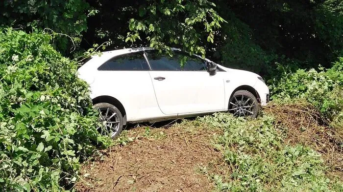 Der Pkw kam kurz vor einem steilen Waldstück zum Stillstand