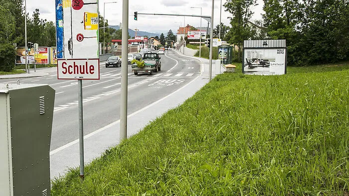 Aktivisten fordern Baumreihe für die vielbefahrene Straße