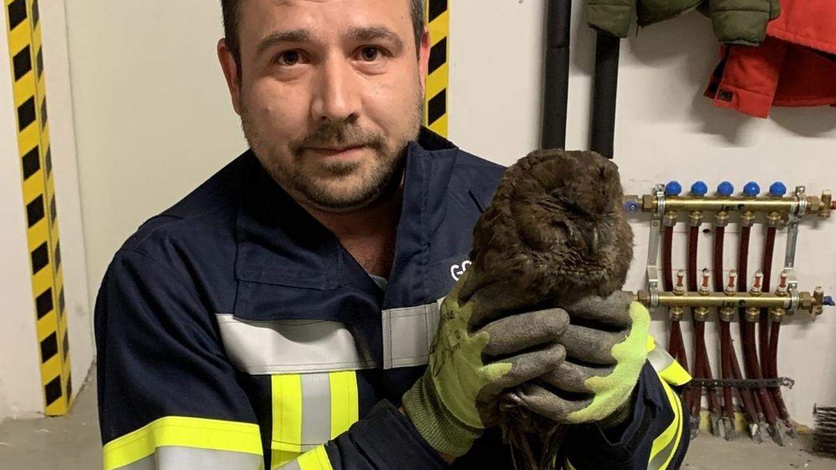 Mario Resch von der Feuerwehr Bad Gams mit der geretteten Eule 