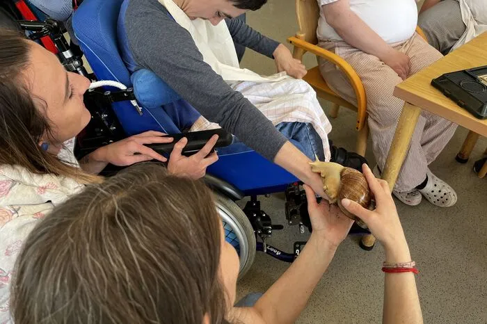 Jeder darf die besonderen Therapietiere berühren