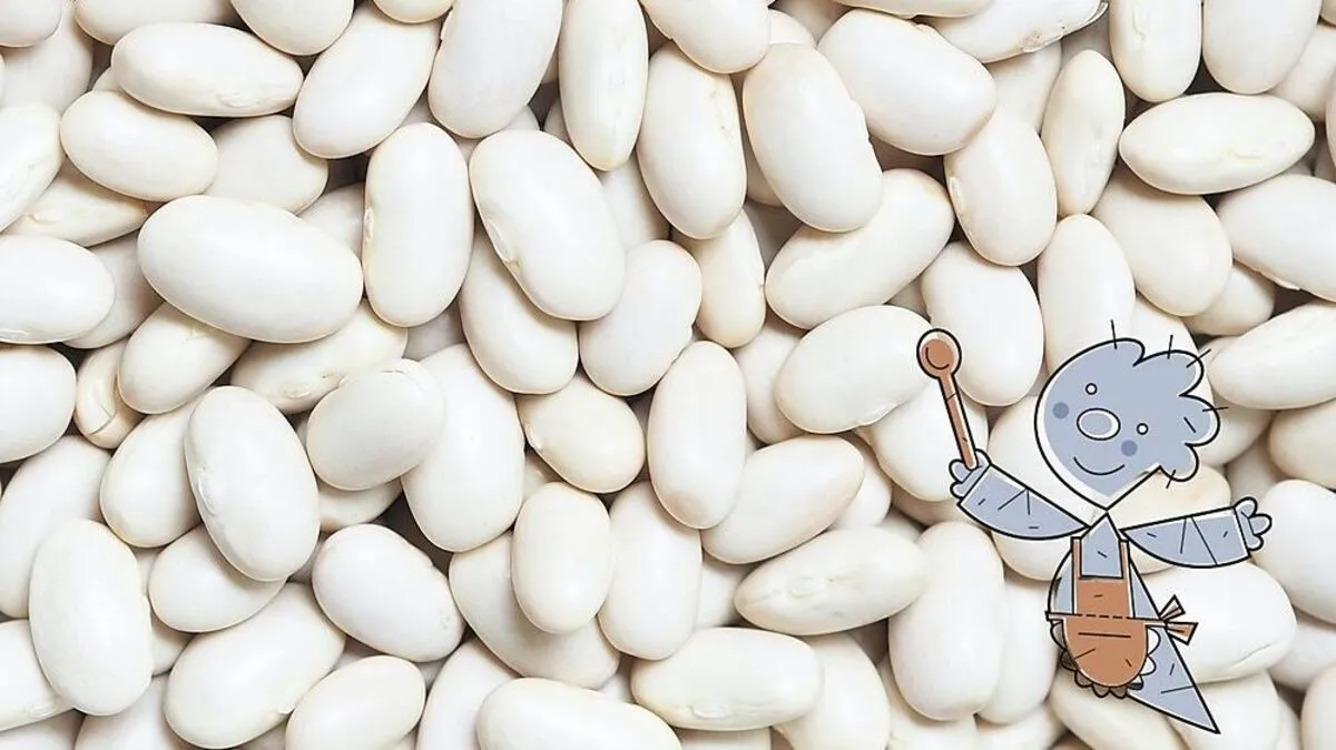 weiße Bohnen (Symbolbild)