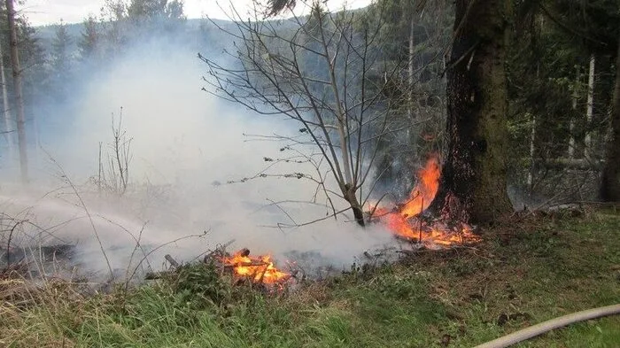 Nachdem gestern, Mittwoch, ein Baum auf eine Stromleitung gefallen war, kam es in Kirchberg zu einem Waldbrand.