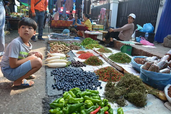 Der Lebensmittelmarkt von Luang Prabang bietet eine exotische Vielfalt, von Wasserbüffelhaut über Fische und Fledermäuse bis hin zu diversen Gewürzen.