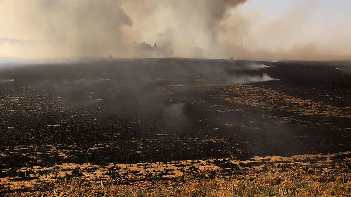 Konfliktherd Gazastreifen