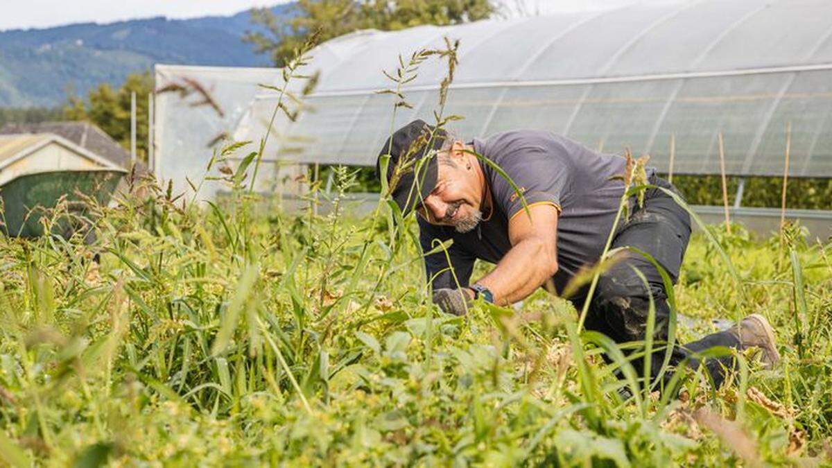 Der &quot;welt.garten&quot; beim Kloster Wernberg bietet Langzeitarbeitslosen Beschäftigung