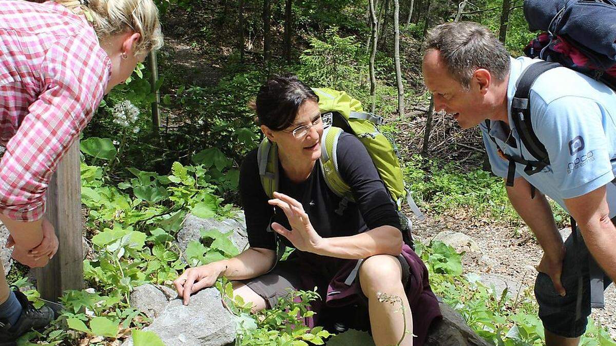 Gerlinde Ortner vom Geopark Karnische Alpen bei einer Wanderung auf der Scuhe nach Fossilien