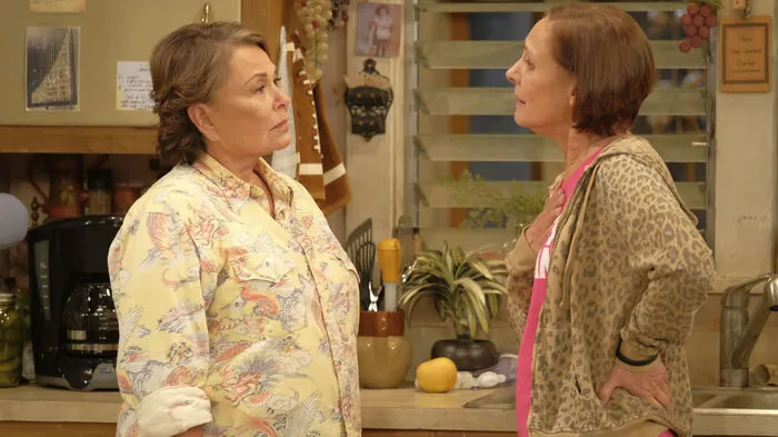 Es war eine Beleidigung zu viel: Nach rassistischen Tweets der Hauptdarstellerin wird die TV-Serie "Roseanne" nun abgesetzt. In den 1990ern war die Sitcom Kult, sie wurde erst vor wenigen Wochen, nach 20 Jahren Pause, wieder aufgelegt.
