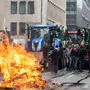Tausende Milchbauern tuckern auf ihren Traktoren zum Demonstrieren nach Brüssel