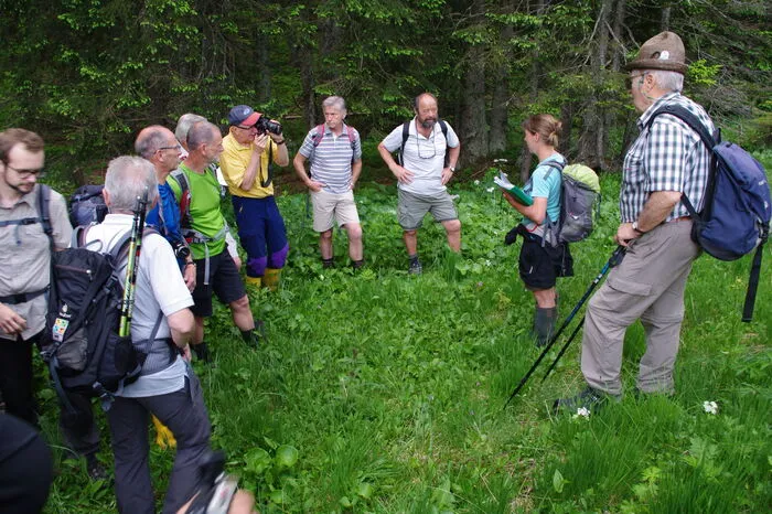 Die Teilnehmer der Wanderung zeigten sich sehr interessiert.