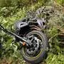 Die Lenkerin stürzte mit ihrem Motorrad in ein Waldstück 