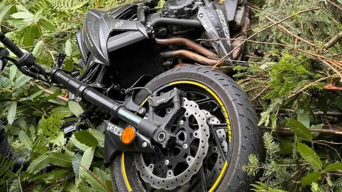 Die Lenkerin stürzte mit ihrem Motorrad in ein Waldstück 