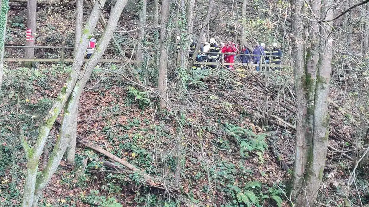 Mittels Krankentrage wurde die Frau aus dem unwegsamen Gelände abtransportiert