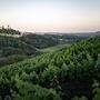 Weinbau im vulkanland - rund um Sankt Anna am Aigen, wo man auch &quot;Weinwandern für die Sinne&quot; kann