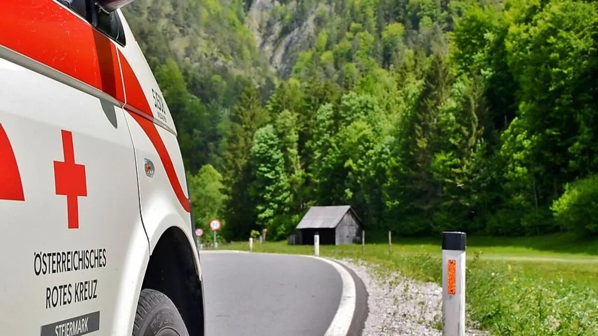 Einsatz für Rotes Kreuz (Sujet)