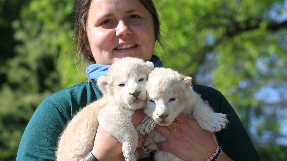 Tierpflegerin Julia Forst mit den weißen Löwenbabys