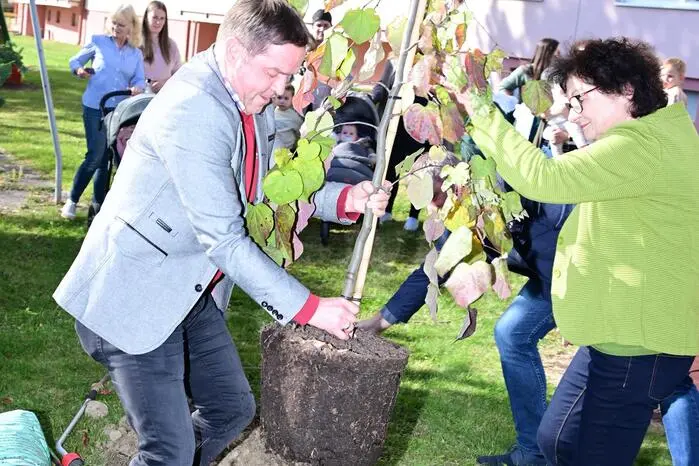 In einer kleinen Feier setzte man diesmal am Freigelände der Häuser Linderweg 12 bis 22 einen Liebesbaum (Cercis siliquastrum), auch Herzbaum oder Judasbaum genannt. 