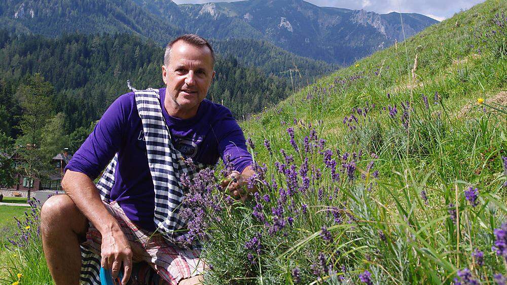 Erwin Krall bei der Lavendelernte in Mürzsteg