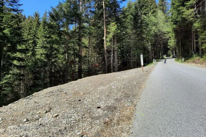 Ein Feuerwehrfahrzeug fuhr aus Norden kommend die Straße entlang - die vier Kameraden waren gerade auf dem Heimweg von einem Einsatz, als ein Pkw entgegenkam.