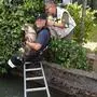 Die Spittaler Feuerwehr rettete einen Hund aus dem Wasserkanal. 