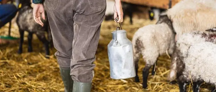 Im Alltag spüren die Bauern die Wertschätzung oft nicht