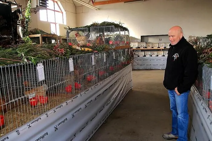 Der Verein zählt rund 25 Mitglieder, die mit 88 Tauben, 12 Meerschweinchen, 29 Kaninchen, 81 Geflügeltieren und 48 Vögeln vertreten waren.