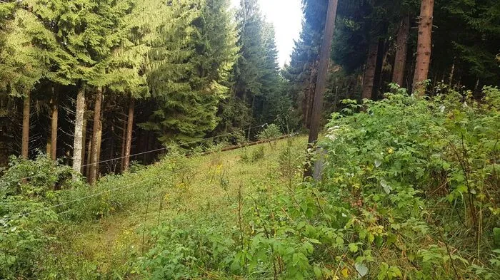 Klicken Sie sich durch die Bildergalerie!