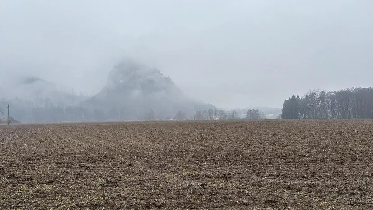Ein Feld. Die Burg Hochosterwitz darüber, wird vom Nebel verschlungen 
