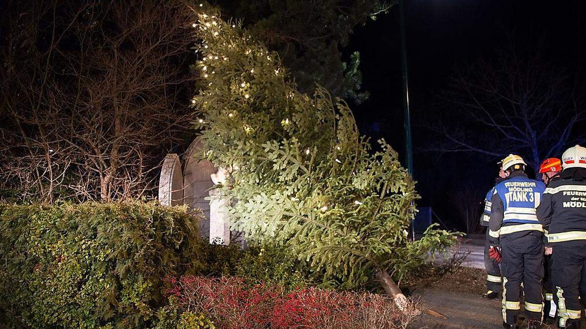 Heftige Sturmböen: Feuerwehr musste Christbaum sichern