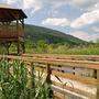 Das Bleistätter Moor beim Ossiacher See soll durch das Flutungsprojekt ein Naherholungsgebiet werden