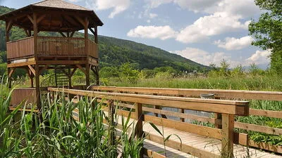 Das Bleistätter Moor beim Ossiacher See soll durch das Flutungsprojekt ein Naherholungsgebiet werden