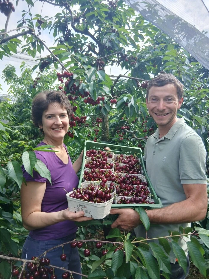 Victoria und Josef Singer bei der Kirschernte 