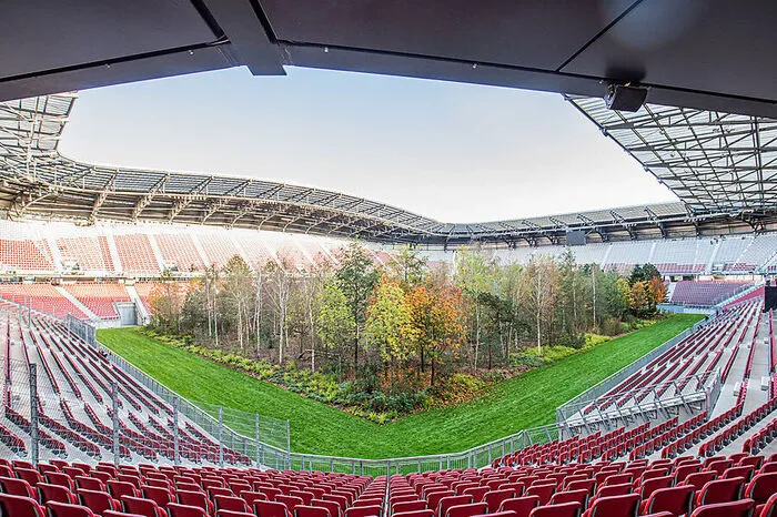 Während im Wörthersee-Stadion 299 Bäume zu sehen waren, ist es in Basel nur ein einziger Baum.