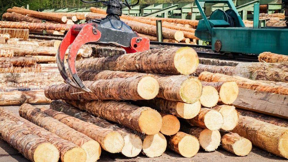 Ohne weitere Fördermittel müssen viele steirische Holz-Kraftwerke schließen