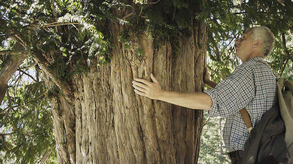 Erwin Thoma: Der Förster, der die Bäume umarmt