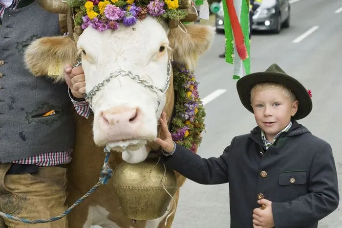 Am Vormittag kamen sie mit den aufgekranzten Leitkühen am Hochegg an und wurden vom Musikverein Schönberg-Lachtal und vielen Besuchern empfangen.