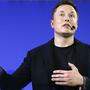 Tesla-Gründer Elon Musk