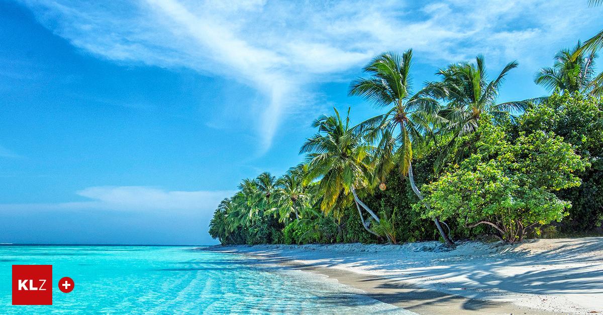 Sonnige-Ziele-O-Palmenbaum-Wohin-es-die-Urlauber-diesmal-nach-den-Feiertagen-zieht