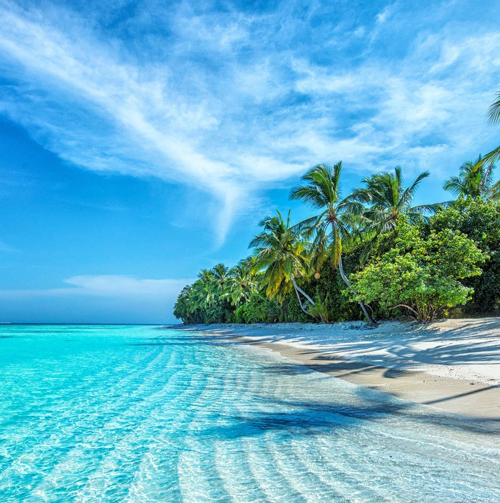 Strand mit Palmen an einem flachen Strandabschnitt mit türkisblauem Meer