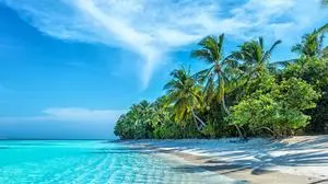 Strand mit Palmen an einem flachen Strandabschnitt mit türkisblauen Meer