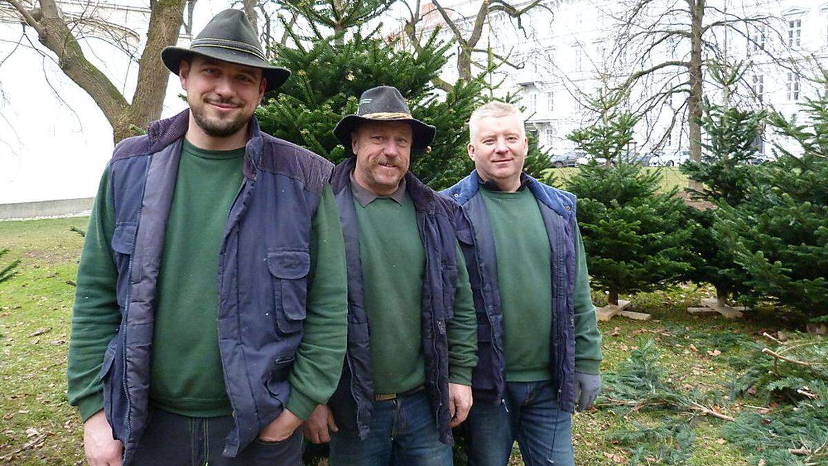 Rene Glawogger, Willi Timmer und Robert Jantscher