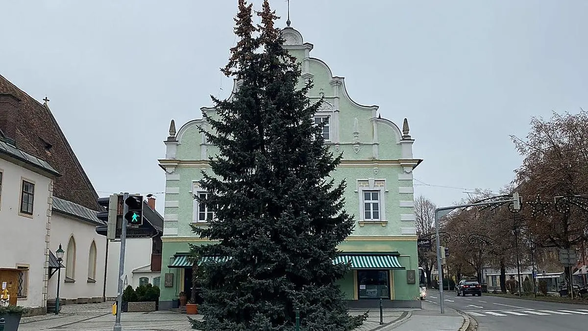 Am Freitag werden die Lichter am Voitsberger Weihnachtsbaum das erste Mal erstrahlen