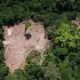 (FILES) File photo taken on October 13, 2014 showing an aereal view of an illegal felling area in the Amazon forest during an overflight by Greenpeace activists over areas of illegal exploitation of timber, as part of the second stage of the "The Amazon's Silent Crisis" report, in the state of Para, Brazil, - The head of Brazil's National Institute for Space Research (INPE) Ricardo Galvao said on Friday he's going to be sacked following a row with President Jair Bolsonaro over deforestation in the Amazon rainforest. Galvao had accused far-right Bolsonaro of "cowardice" for having publically questioned satellite data produced by INPE that showed Amazon rainforest deforestation had increased 88 percent in June compared to the same period one year earlier. (Photo by RAPHAEL ALVES / AFP)