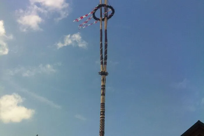 Ganze fünf Baumspitzen hat dieser prächtige Maibaum, der beim Buschenschank Kröll vulgo Patschuster am Eichberg (St. Johann im Saggautal) aufgestellt wurde