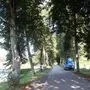 Die Allee beim Schloss ist denkmalgeschützt