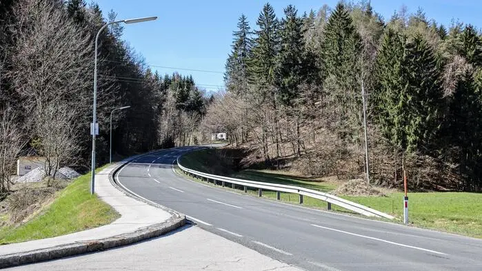 Blick auf eine Landstraße, auf deren Seiten viele Bäume wachsen